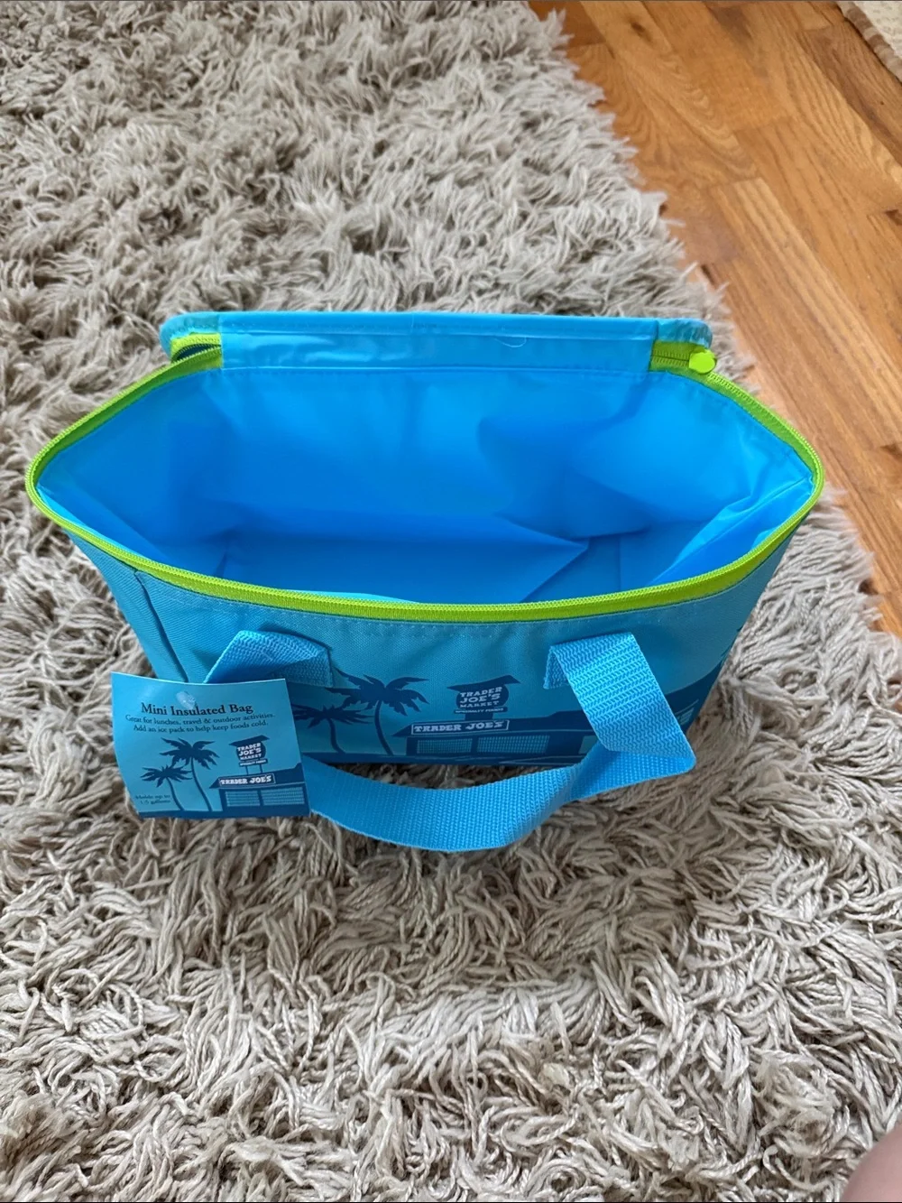 Trader Joe's Insulated Lunch Bag in Bright Blue with Lime Trim